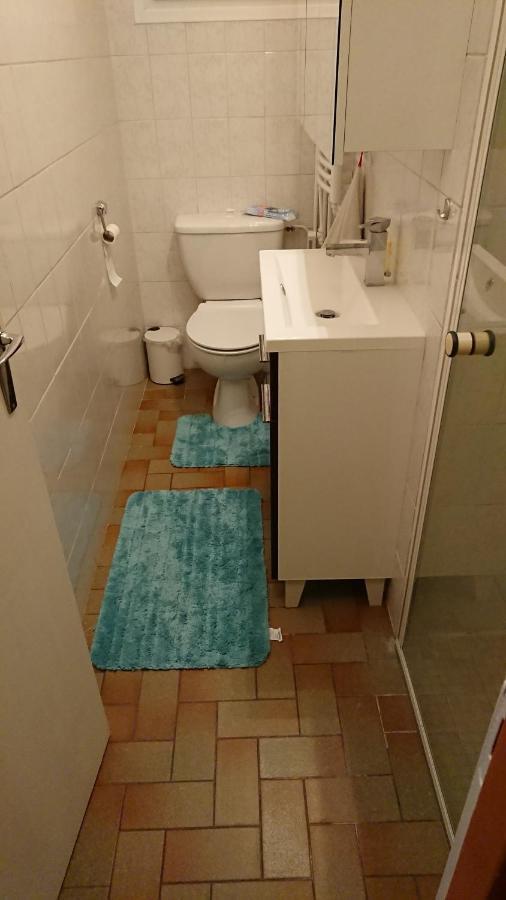 Oldani Apartment Antran Екстериор снимка
